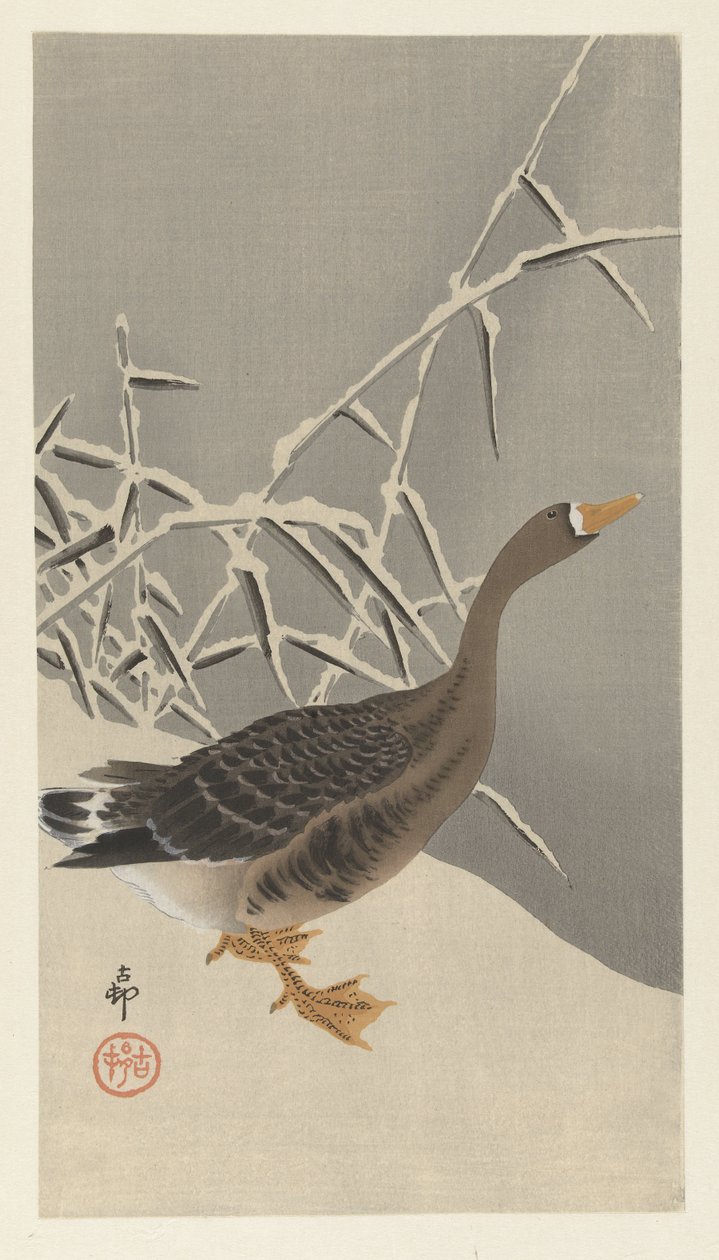 雪の中のマガン 作： 大原光子