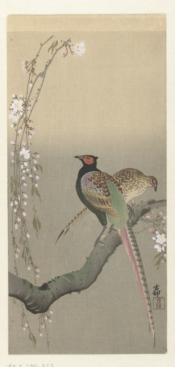 キジと桜のつがい 作： 大原光子