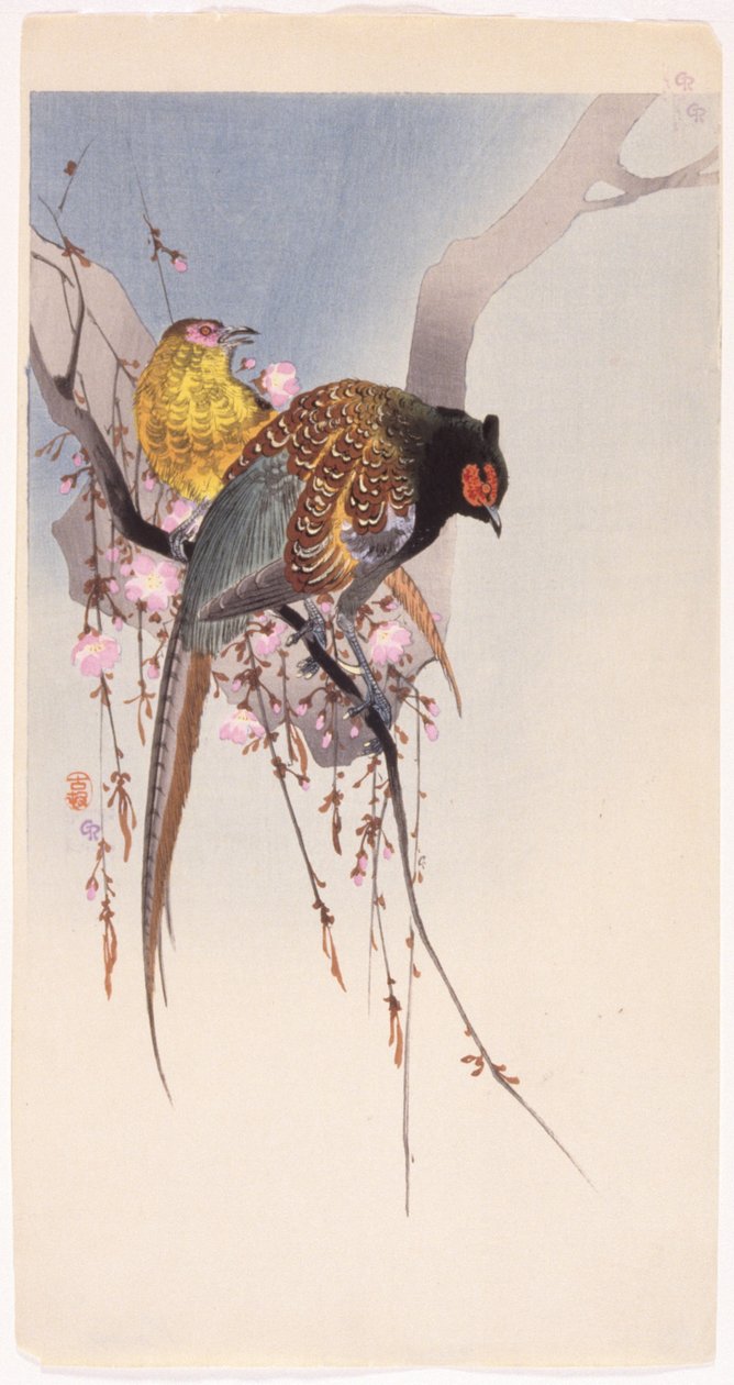 キジとハンギング チェリー (カラー木版画) 作： 大原光子
