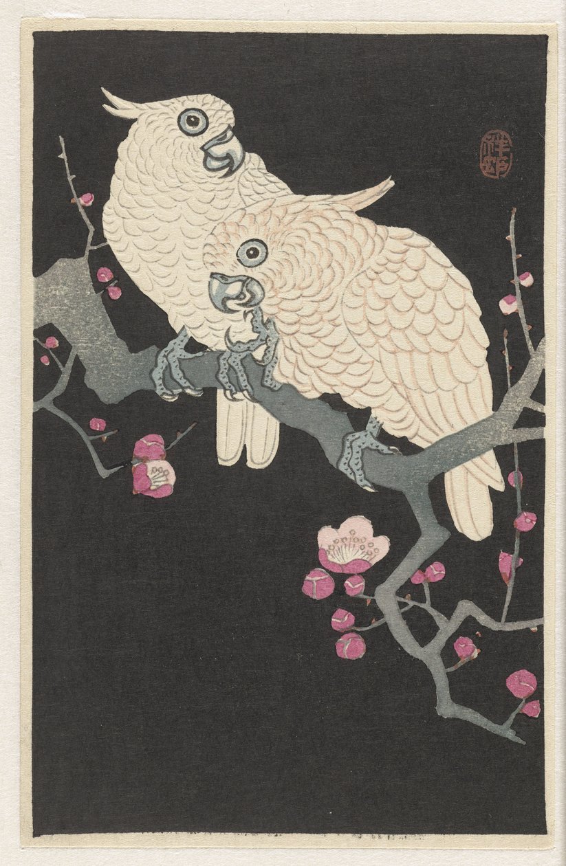 2 つのオウムと梅の花 作： 大原光子