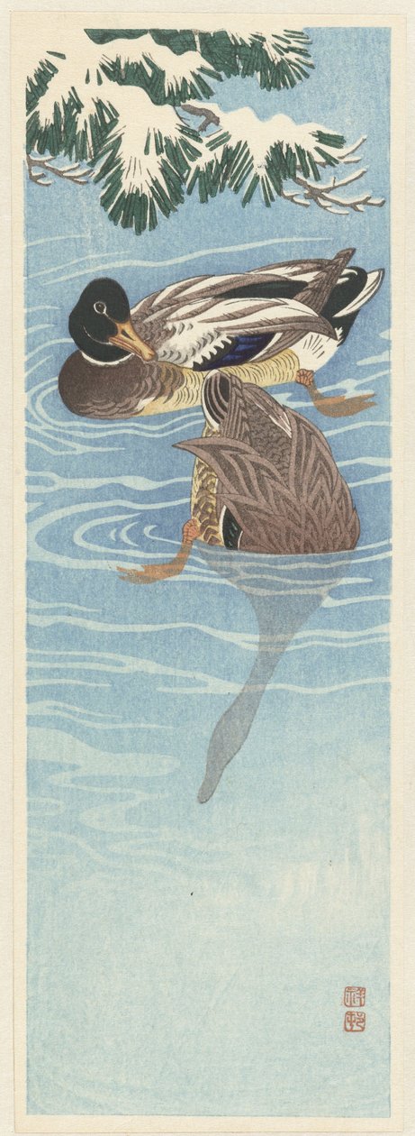 水中の2羽の野生のカモ 作： 大原光子