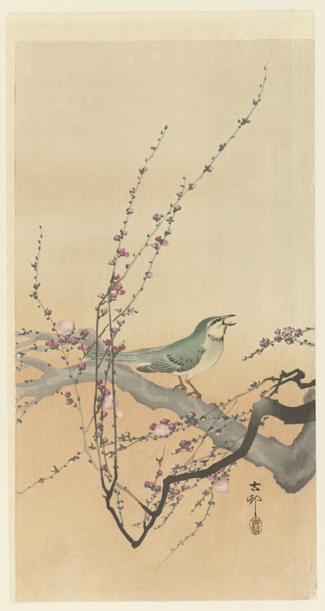 鳴き鳥と梅の花。 作： 大原光子