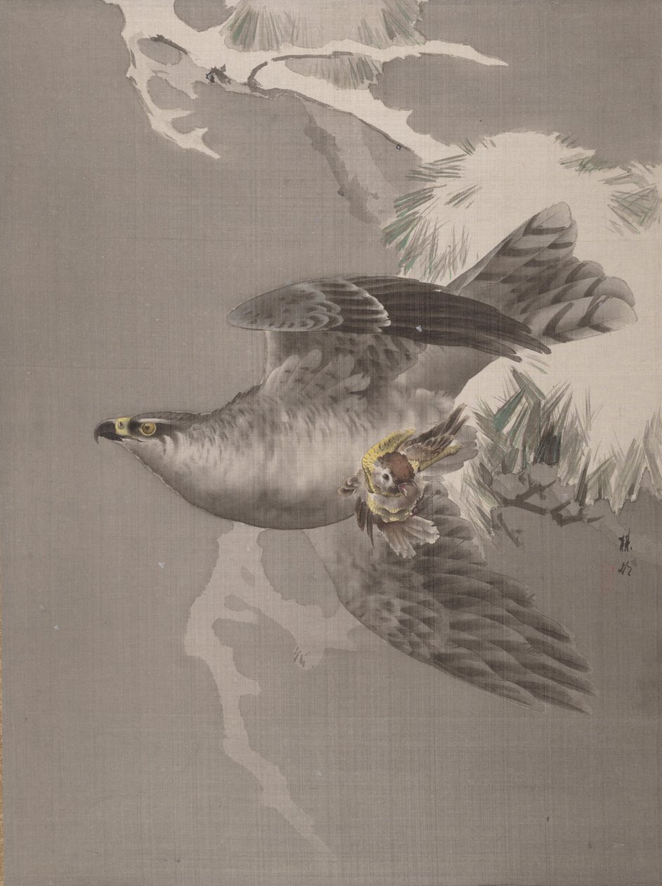 小鳥を抱く鷹、約。 1891-92。 作： 岡田バイソン