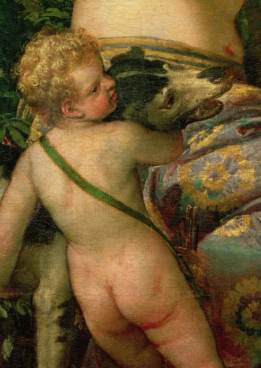 キューピッド、金星とアドニスの詳細、1580（38598の詳細） 作： パオロベロネーゼ