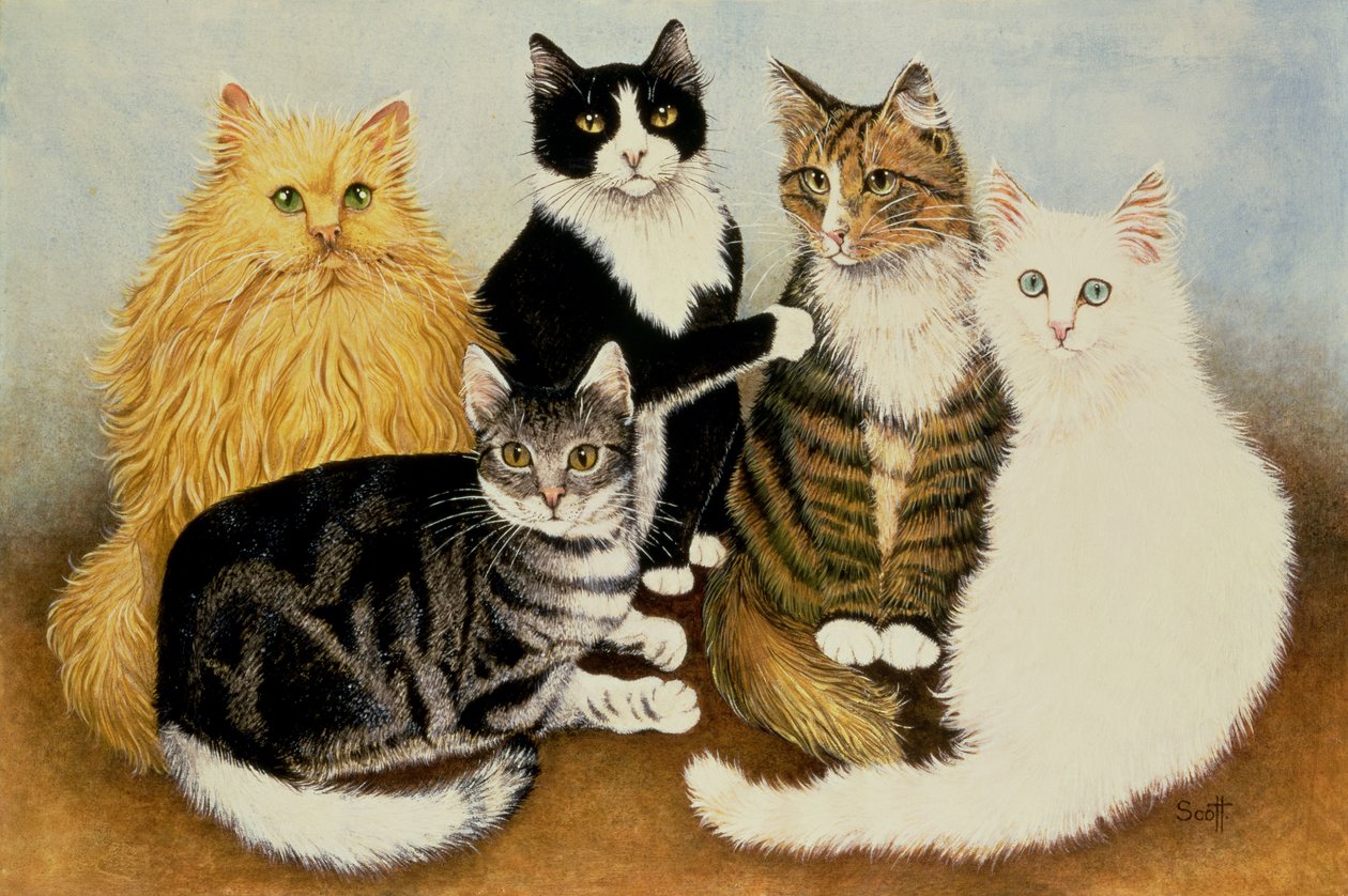 猫のゆりかご 作： パット・スコット