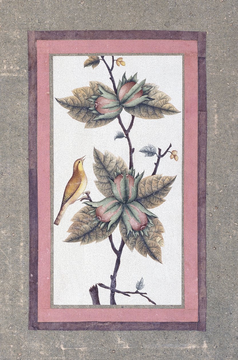 鳥と花の研究、1780年頃 作： ペルシャ語学校