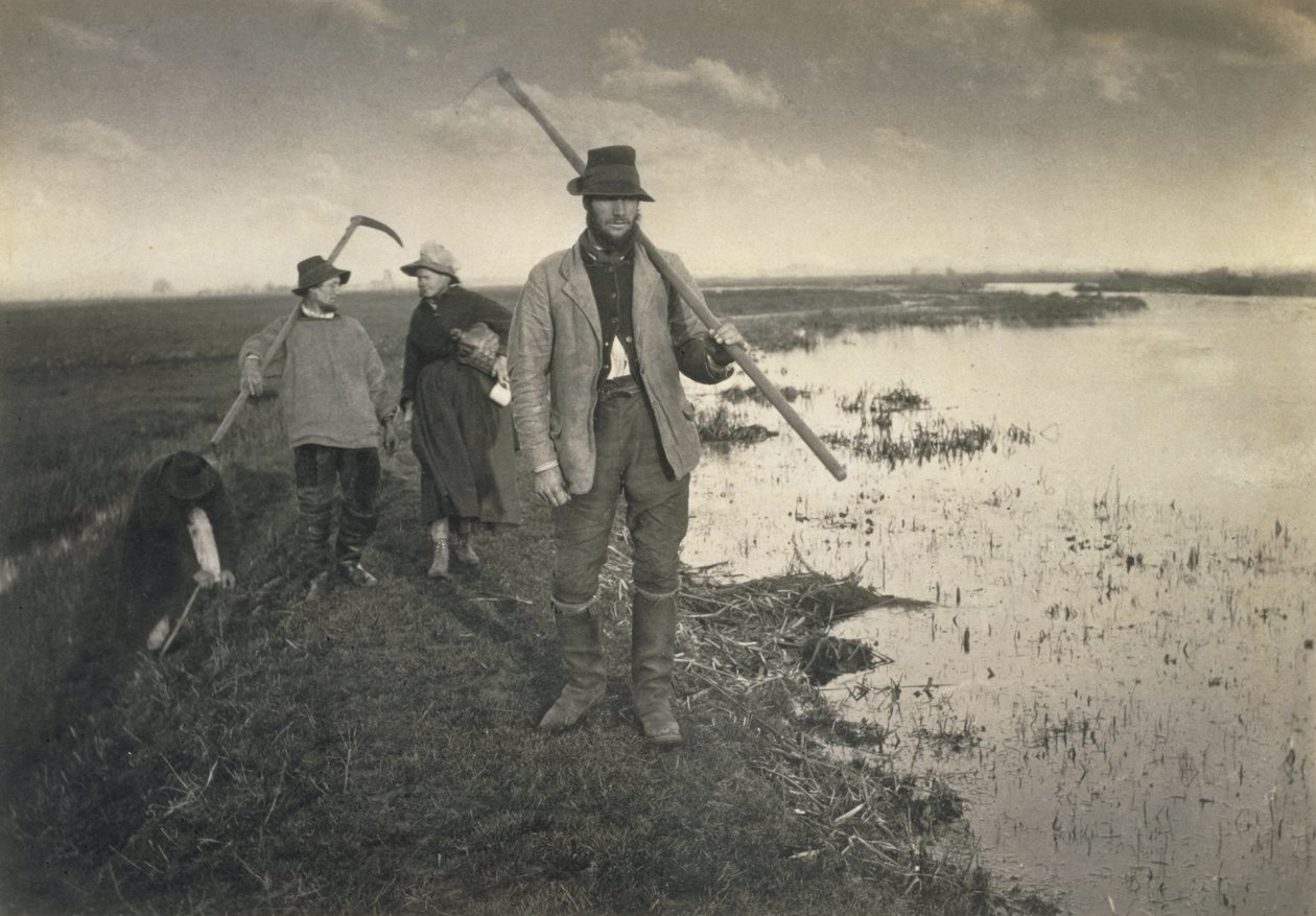 グラッドソンの切断、ノーフォークブロードの生活と風景、1886年頃 作： ピーター・エマーソンとトーマス・グドール