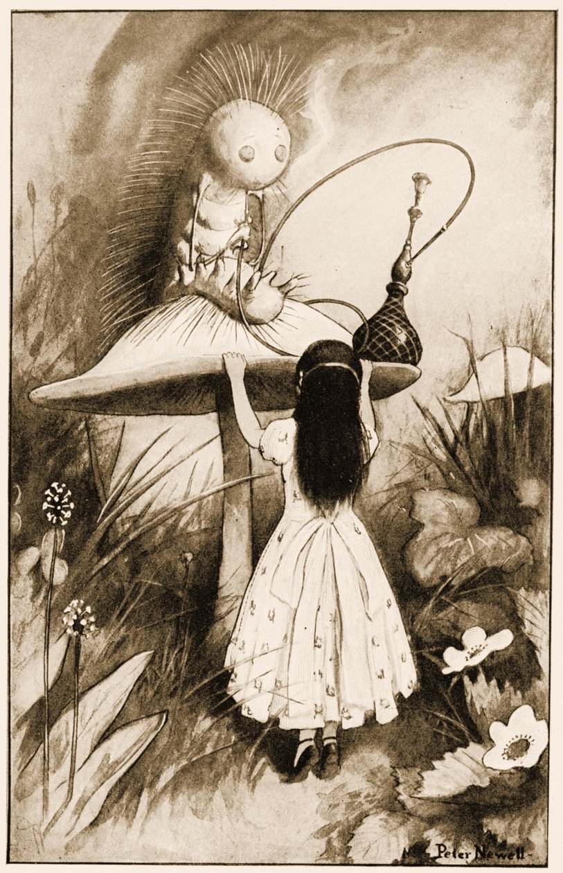キャタピラーとアリスはお互いを見た、ルイスキャロルの不思議の国のアリスアドベンチャーのイラスト、1901 作： ピーター・ニューウェル