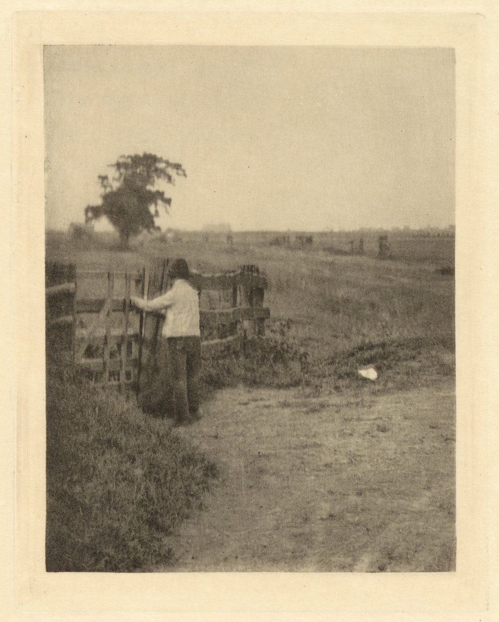The Last Gate   1249178   ja       japanese Successfully Translated  Original: A Python, from Locupletissimi rerum naturalium thesauri..., by Albertus Seba Translat: A Python, from 