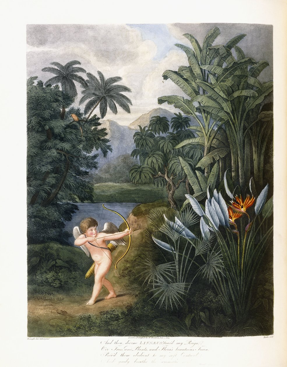 そして、神聖なリンネ、c.1796-1807 作： フィリップ・レイナグル