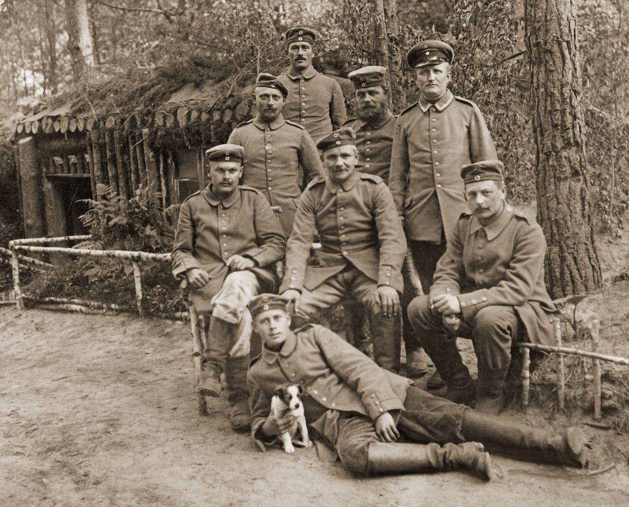 犬を連れたドイツ兵のグループ 作： 写真家ドイツ語