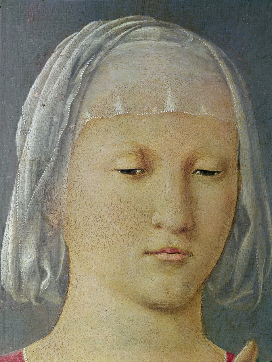 聖母の頭の詳細、セニガリアのマドンナとして知られる2人の天使の間の聖母子、c.1472木の油 作： ピエロ・デラ・フランチェスカ