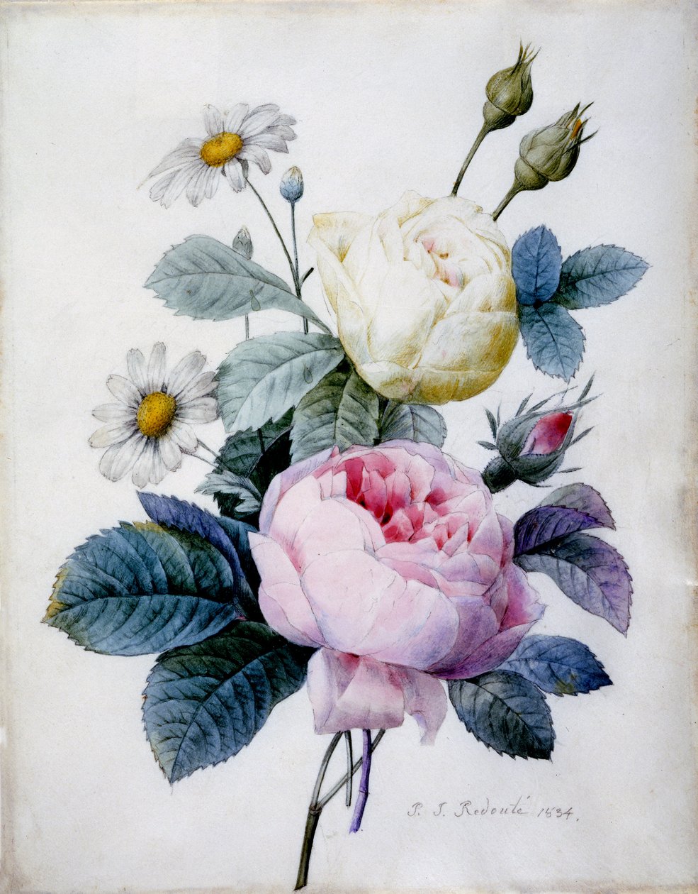 ヒナギクとバラの花束、1834年公開（色の刻印の刻印） 作： ピエール・ジョゼフ・ルドゥーテ