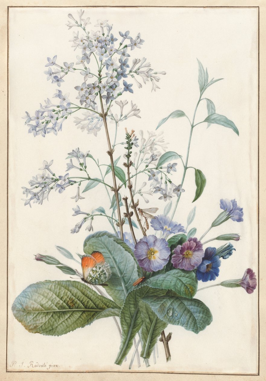 昆虫と花の花束 作： ピエール・ジョゼフ・ルドゥーテ