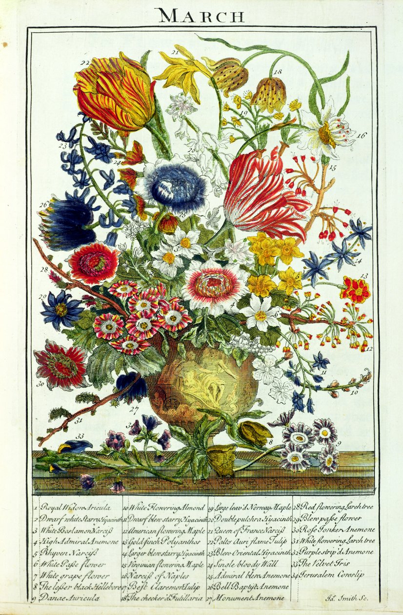 3月、ジェームススミスによって刻まれたロバートファーバー（c.1674-1756）の「フラワーガーデンの展示」より、パブ。 1732 作： ピーターカステル