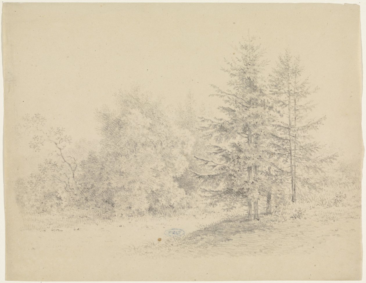 松の木と森の景色 作： Pieter Bartholomeusz床屋