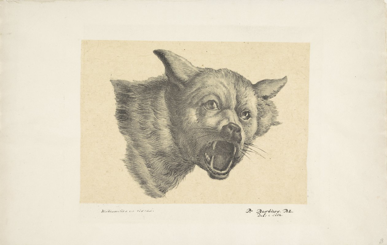 オオカミまたは犬の頭 作： Pieter Bartholomeusz床屋