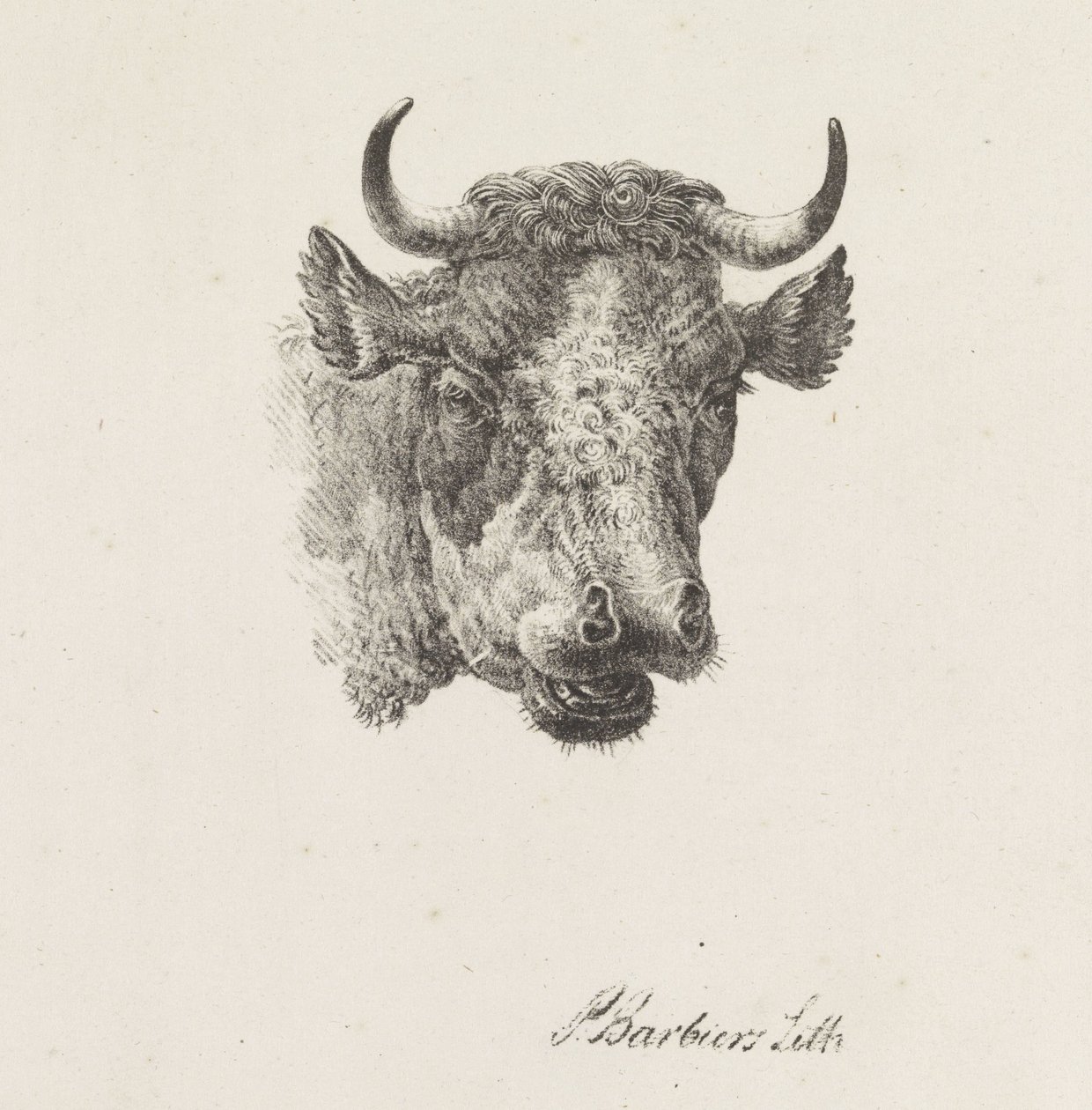 ブルヘッド 作： Pieter Bartholomeusz床屋