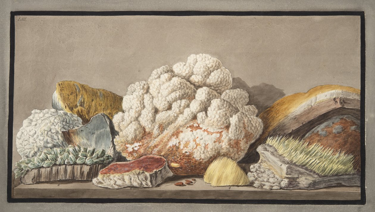 ウィリアムハミルトン卿（1730-1803）による「カンピフレグレイ：2つのシチリアの火山の観察」からのソルファテラの作品、プレート9、1776年発行 作： ピエトロファブリス