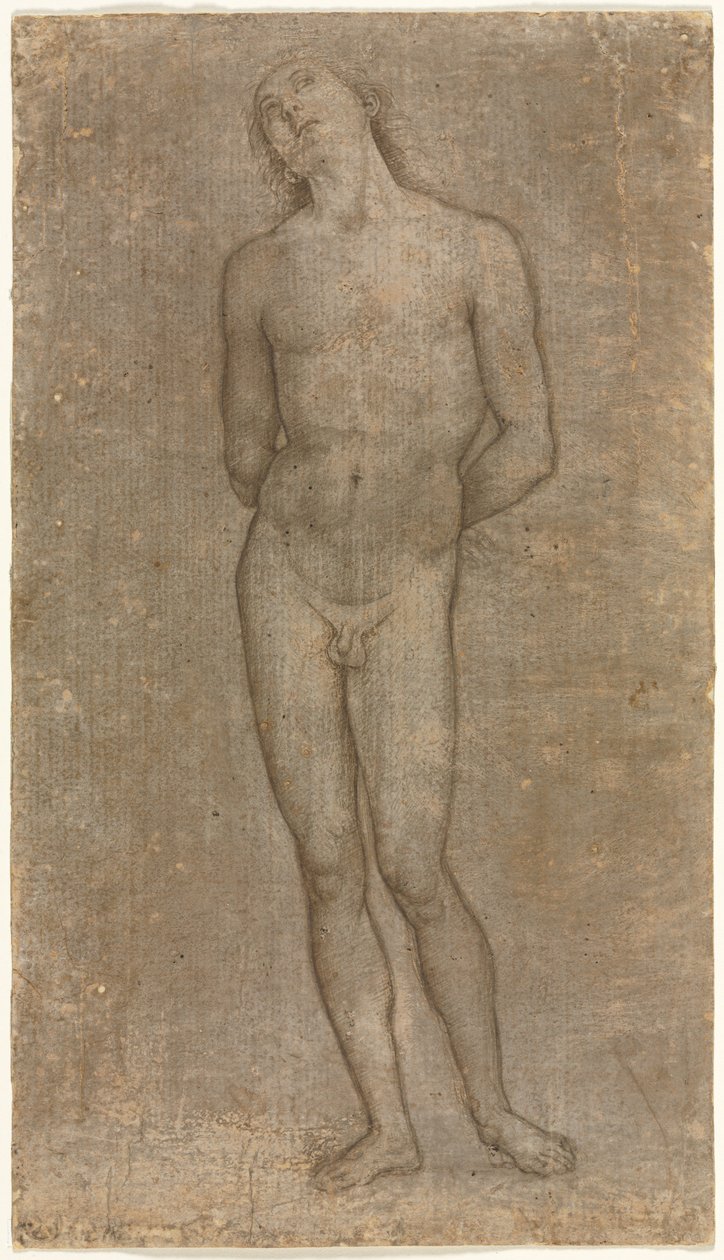 聖セバスチャン、c。 1493。 作： ピエトロ・ペルジーノ
