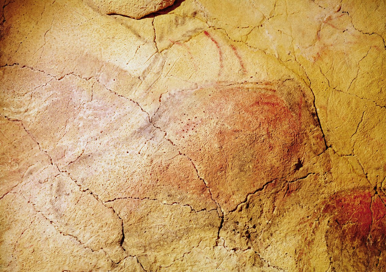 アルタミラ洞窟のバイソン、紀元前15000年頃（洞窟壁画） 作： 先史時代