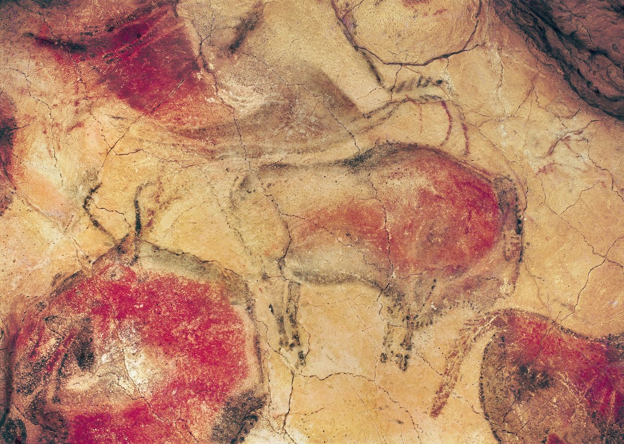 アルタミラ洞窟のバイソン、紀元前15000年頃（洞窟壁画） 作： 先史時代