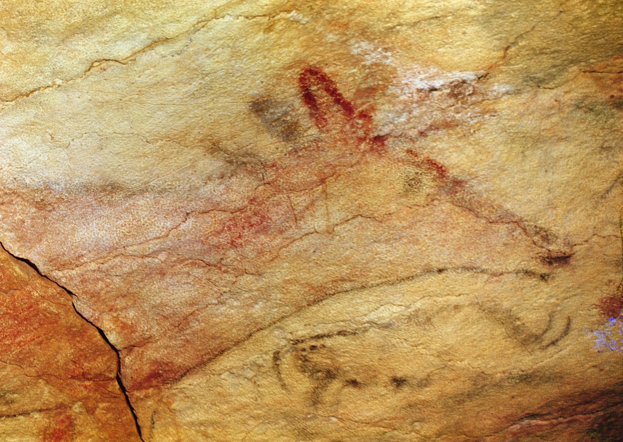 アルタミラ洞窟のクワガタ、紀元前15,000年頃（洞窟壁画）（42412の詳細） 作： 先史時代