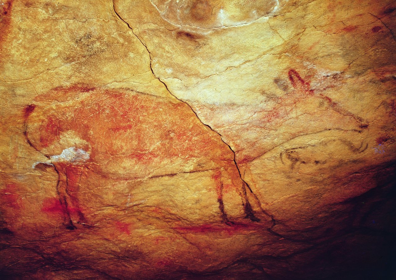 アルタミラ洞窟の雄鹿、紀元前15,000年頃（洞窟壁画） 作： 先史時代