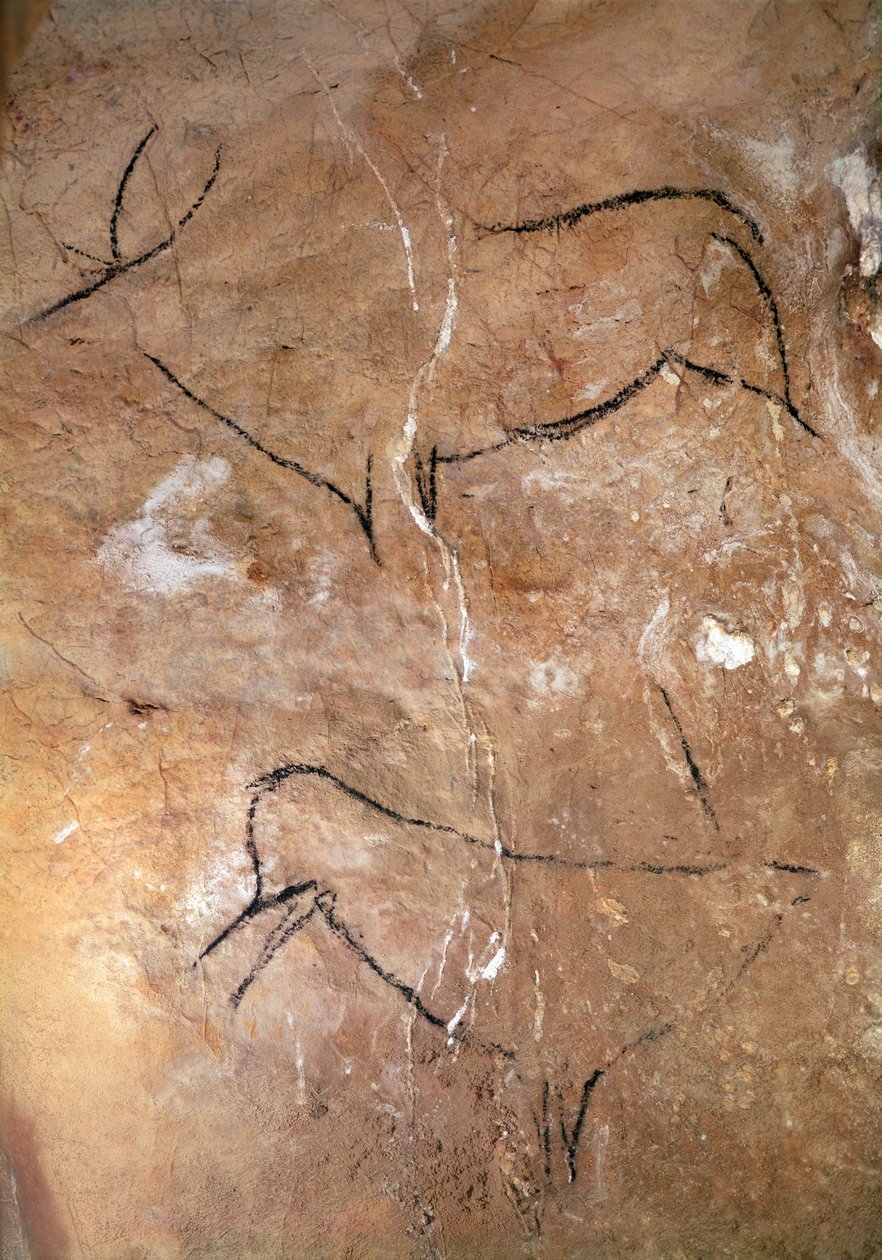 アルタミラの洞窟からの2つのクワガタ、紀元前15000年頃（洞窟壁画） 作： 先史時代