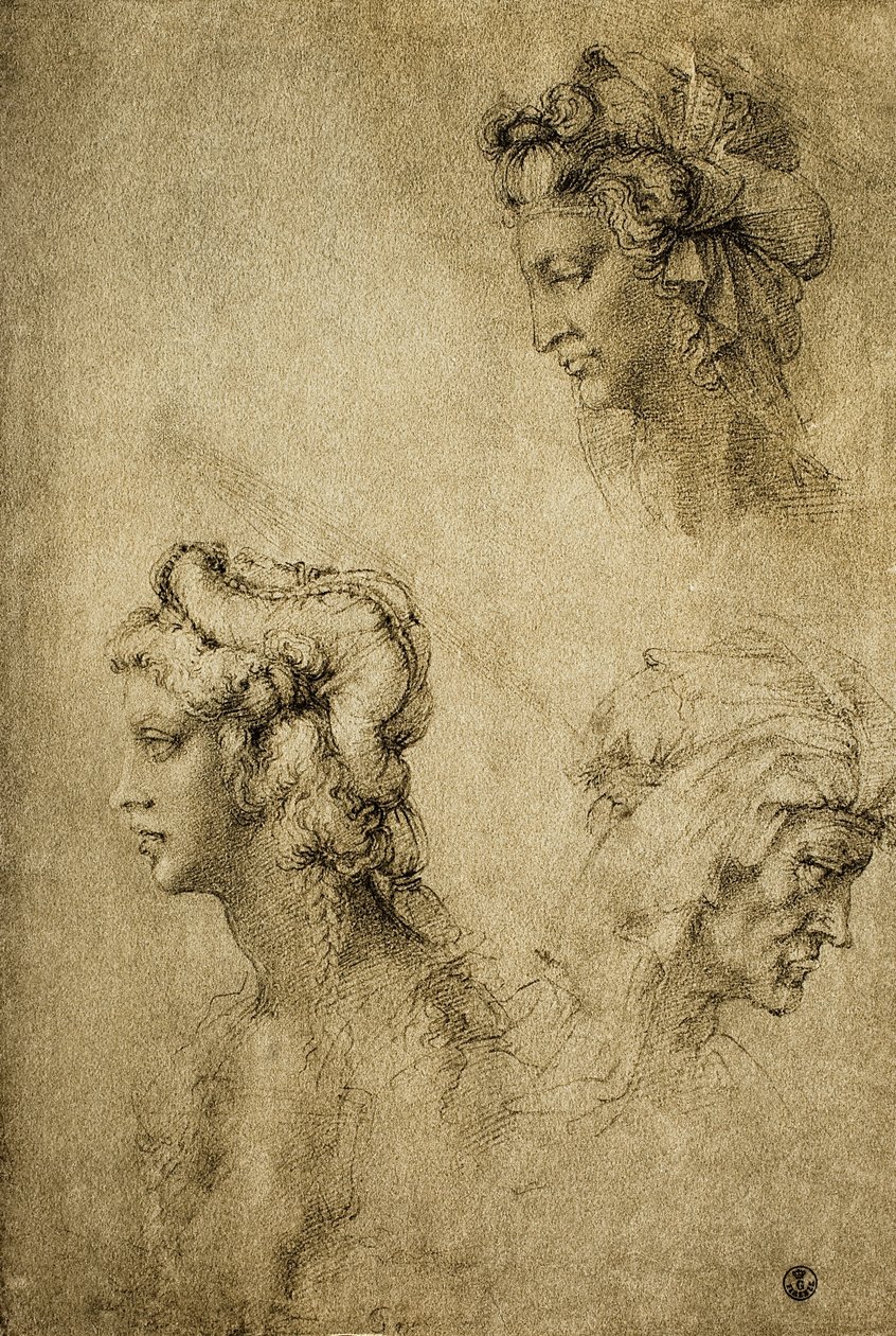 ラファエルが描いた女性の頭部の研究。内閣描画と版画、ウフィツィ美術館、フィレンツェ 作： ラファエロサンツィオラファエル