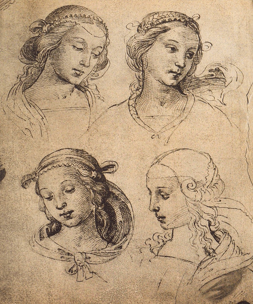 4つの女性の顔の研究。ラファエルの絵。ギャラリーデルアカデミア、ヴェネツィア 作： ラファエロサンツィオラファエル