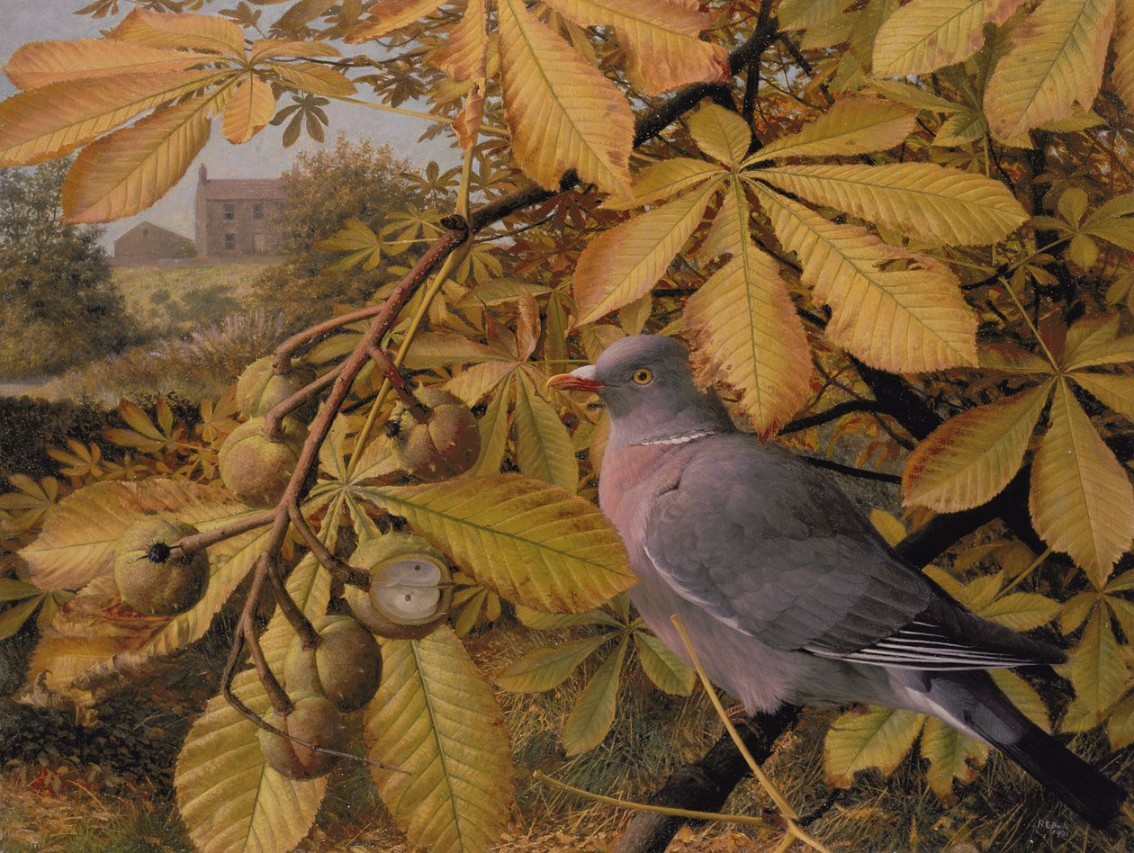 10月トチノキの鳩 作： レイモンド・ブース