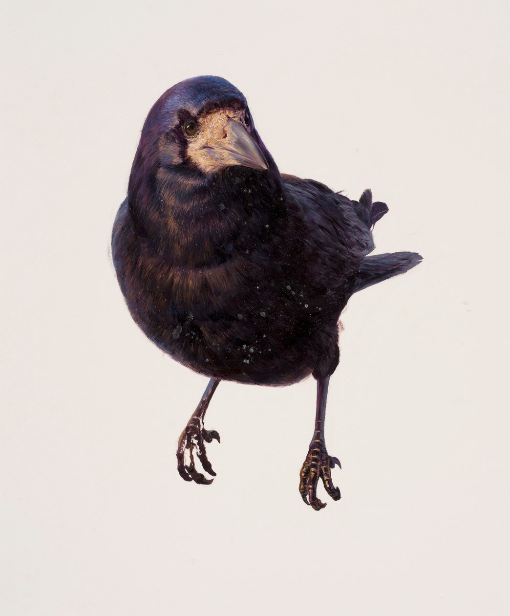 カラスの習作（油彩・紙） 作： レイモンド・ブース