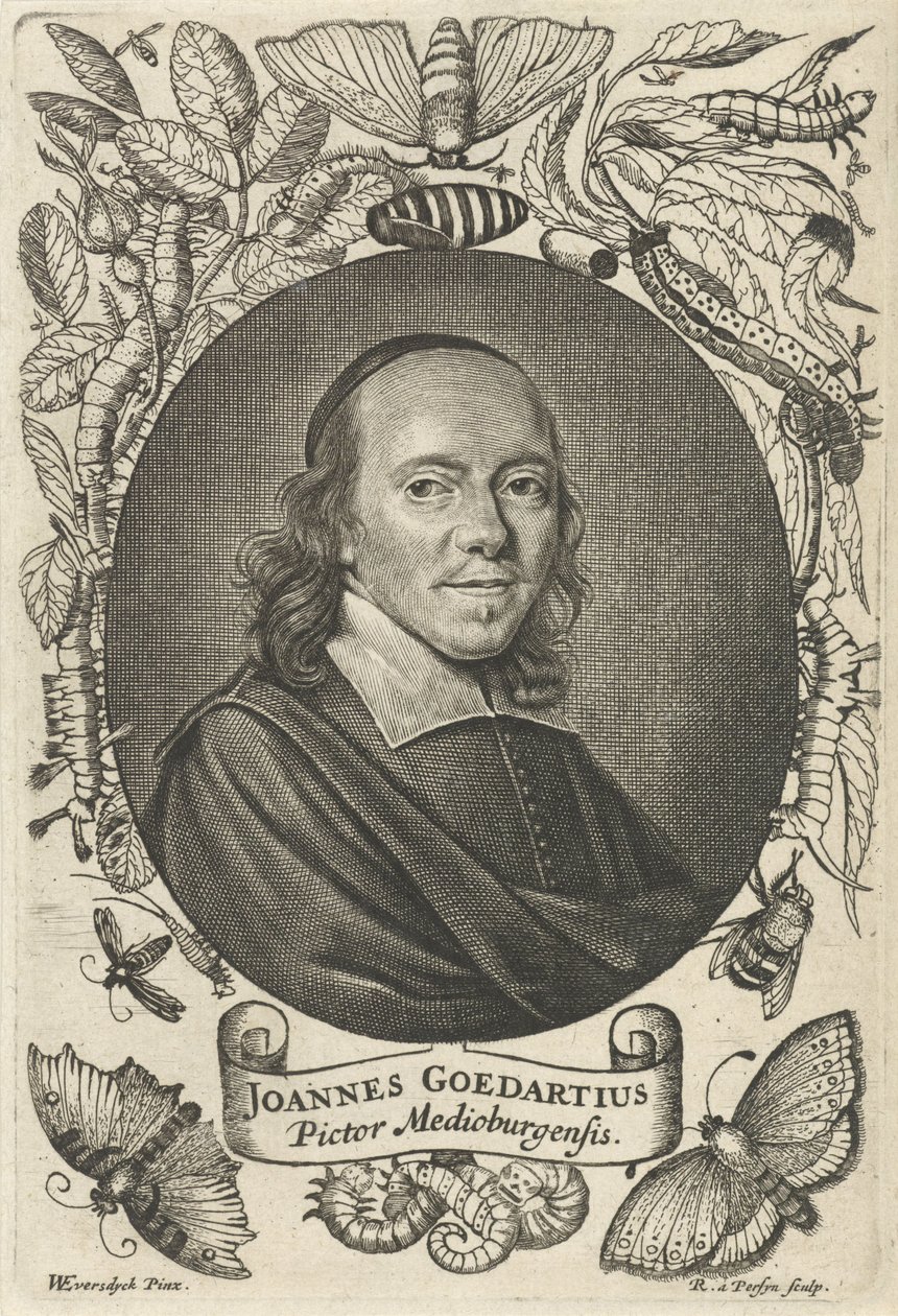 ヨハネスゲーダート（1617-1668）またはミドルバーグ 作： レイニエ・ファン・ペルジン