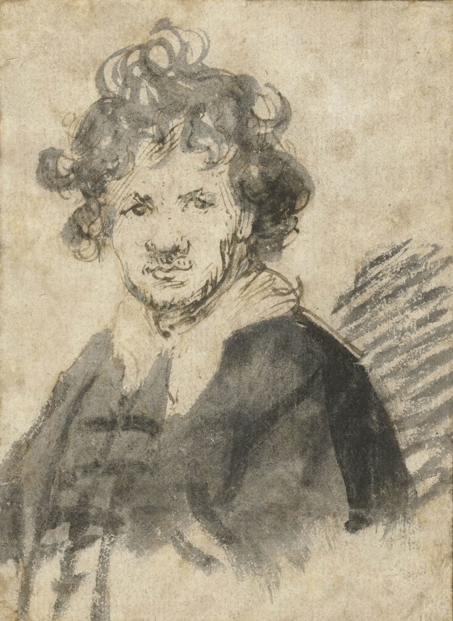 乱れた髪の自画像、c.1628-29 作： レンブラント・ファン・レイン