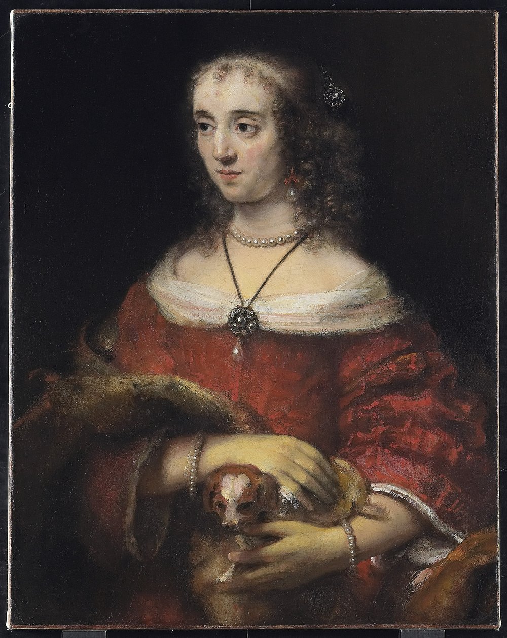 ラップドッグを持つ女性の肖像、1665年頃 作： レンブラント・ファン・レイン