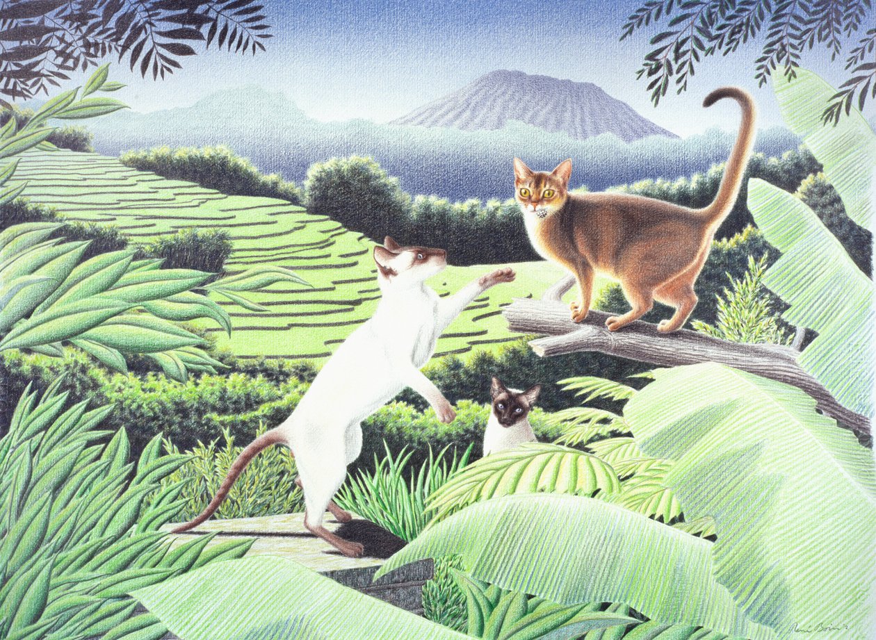 バリ、2002年、紙に色鉛筆画 作： ルネ・ボアン