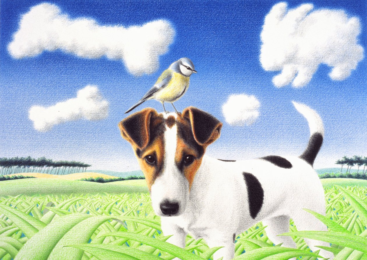2004年、紙に色鉛筆画 作： ルネ・ボアン