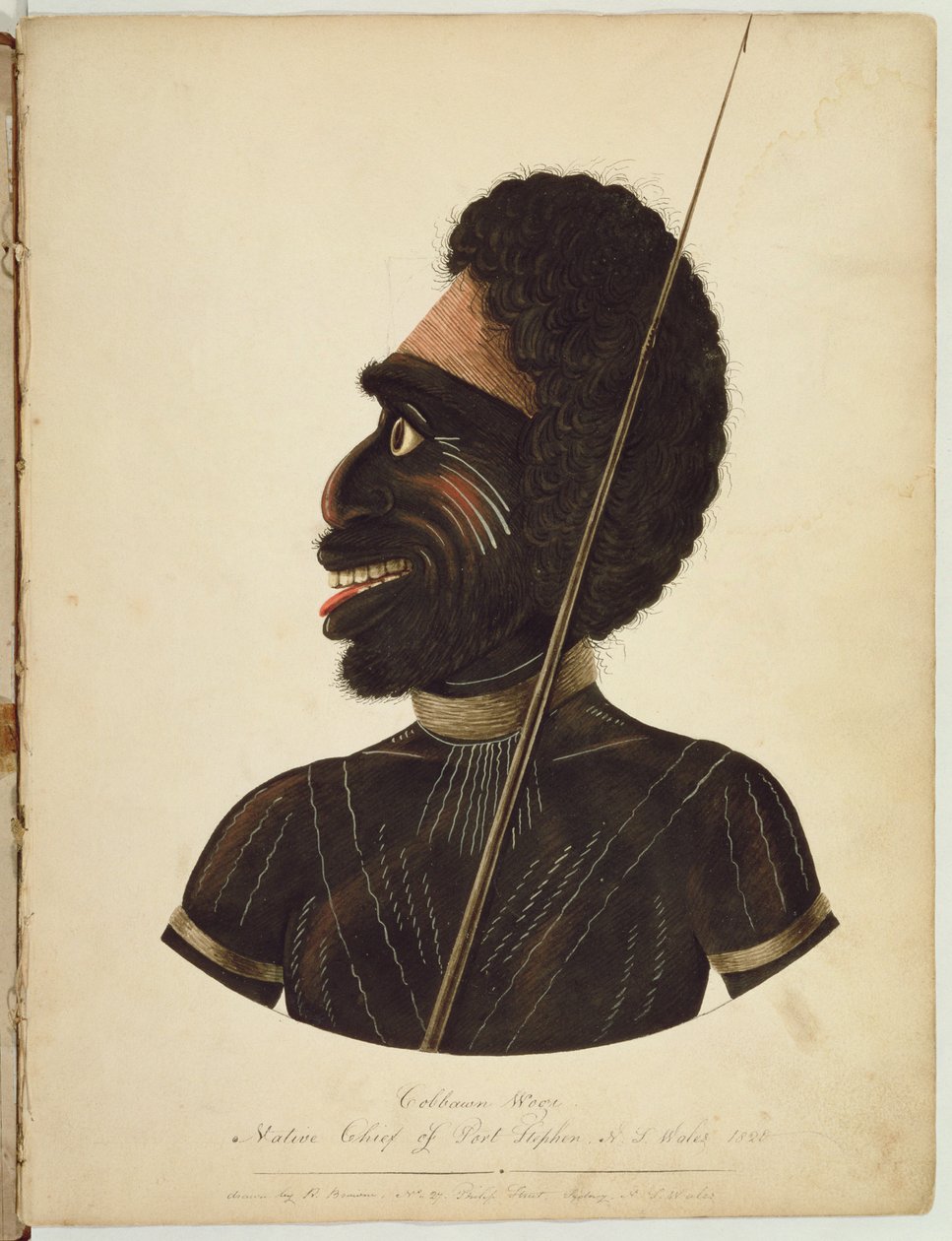 1820年ニューサウスウェールズ州ポートスティーブン出身のCobbawn Wogi氏 作： リチャード・ブラウン