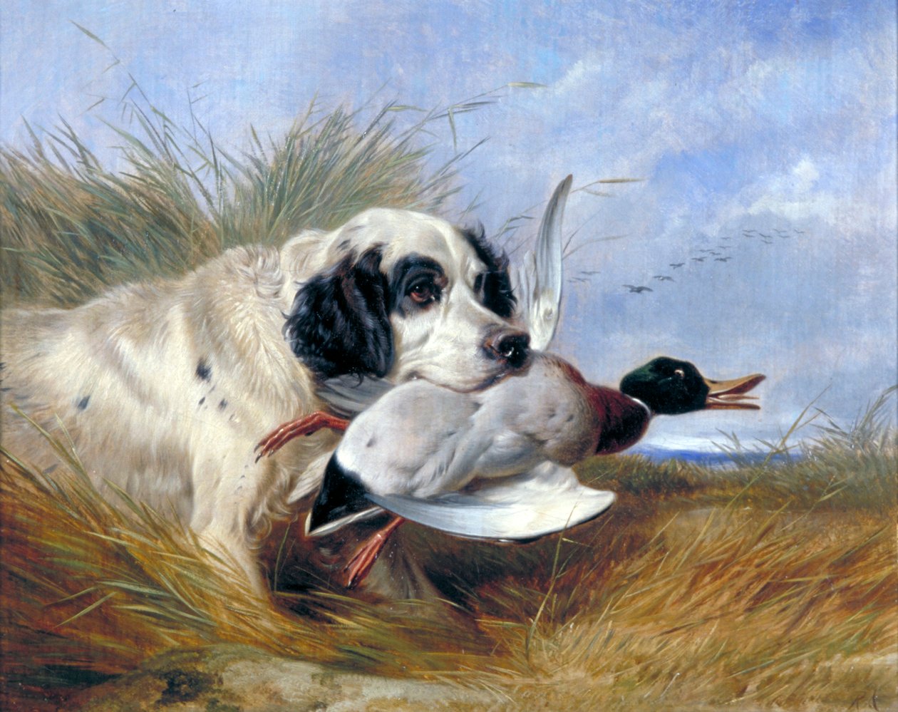 「鴨を連れた犬」、19 世紀 作： リチャード・アンスデル