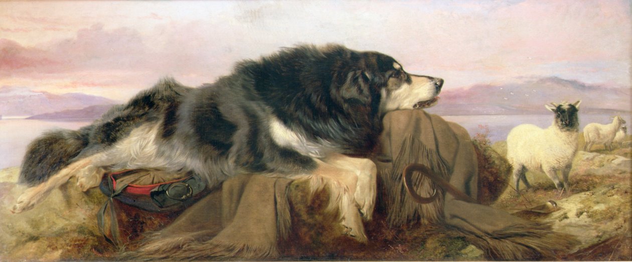 シェパードの犬 作： リチャード・アンスデル