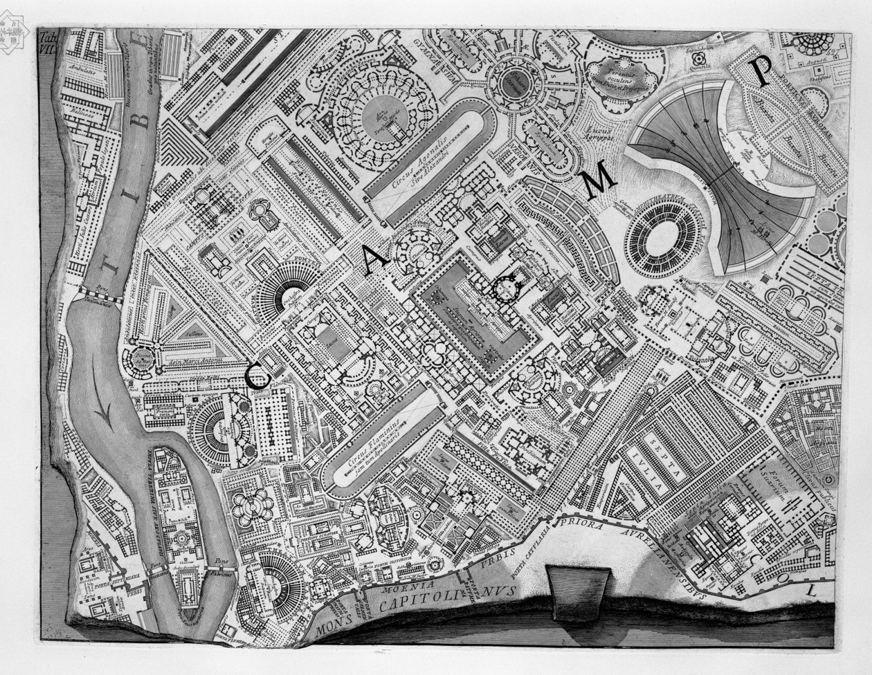 キャンパスマルティウスの地図 作： ロバート・アダム