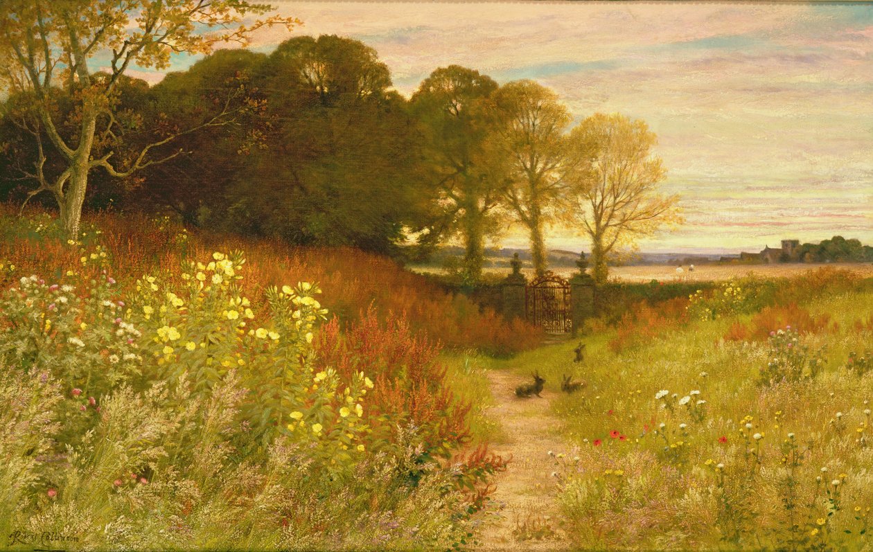 野生の花とウサギのいる風景 作： ロバート・コリンソン