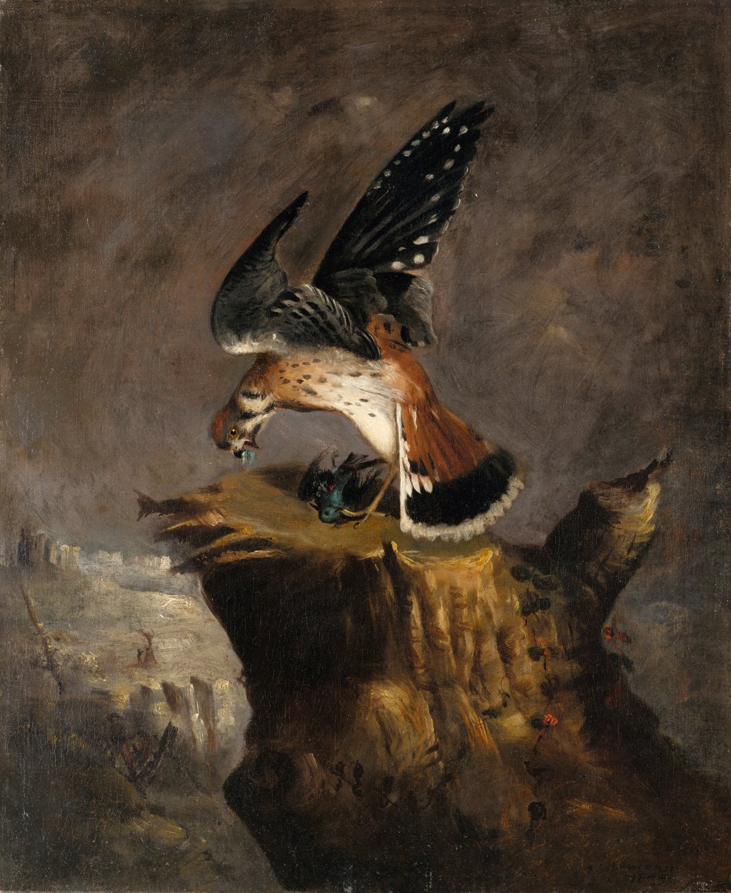 ハゲタカとその獲物、1844年。 作： ロバート・セルドン・ダンカンソン