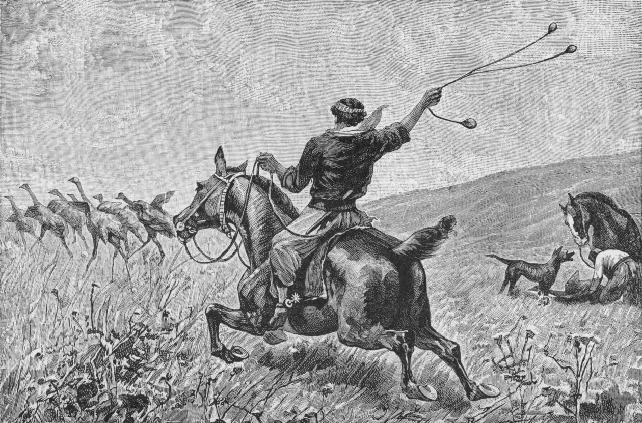 ボーラスを投げる、c1885、1890 作： ロバート・テイラー・プリチェット