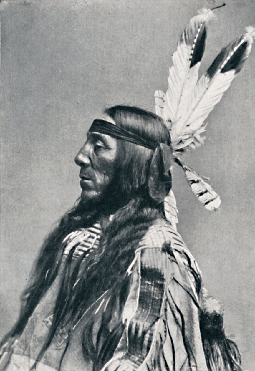 スーのプロフィール、1912年 作： ロバート・ウィルソン・シュフェルト
