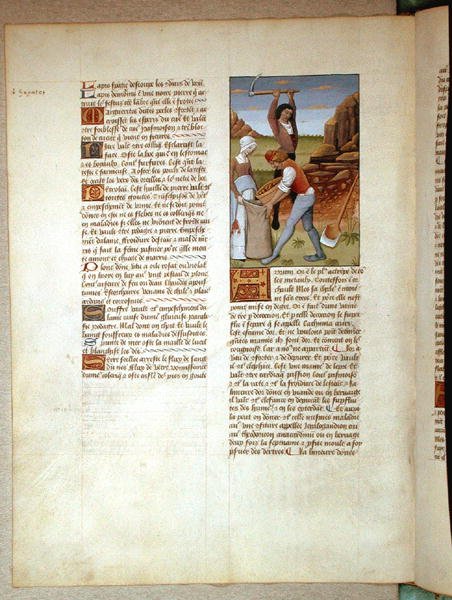 Ms Fr. Fv VI＃1 fol.98v金の採掘、Matthaeus PlateariusによるThe Book of Simple Medicinesのイラスト（dc1161）c.1470 作： ロビネット・テスタード