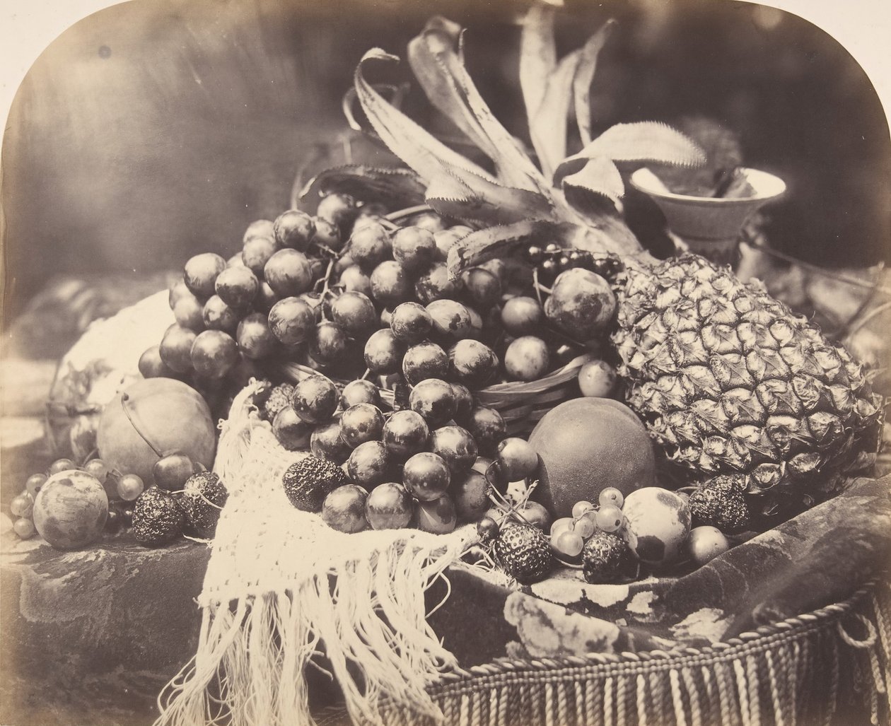 果物のある静物、1860年。 作： ロジャー・フェントン