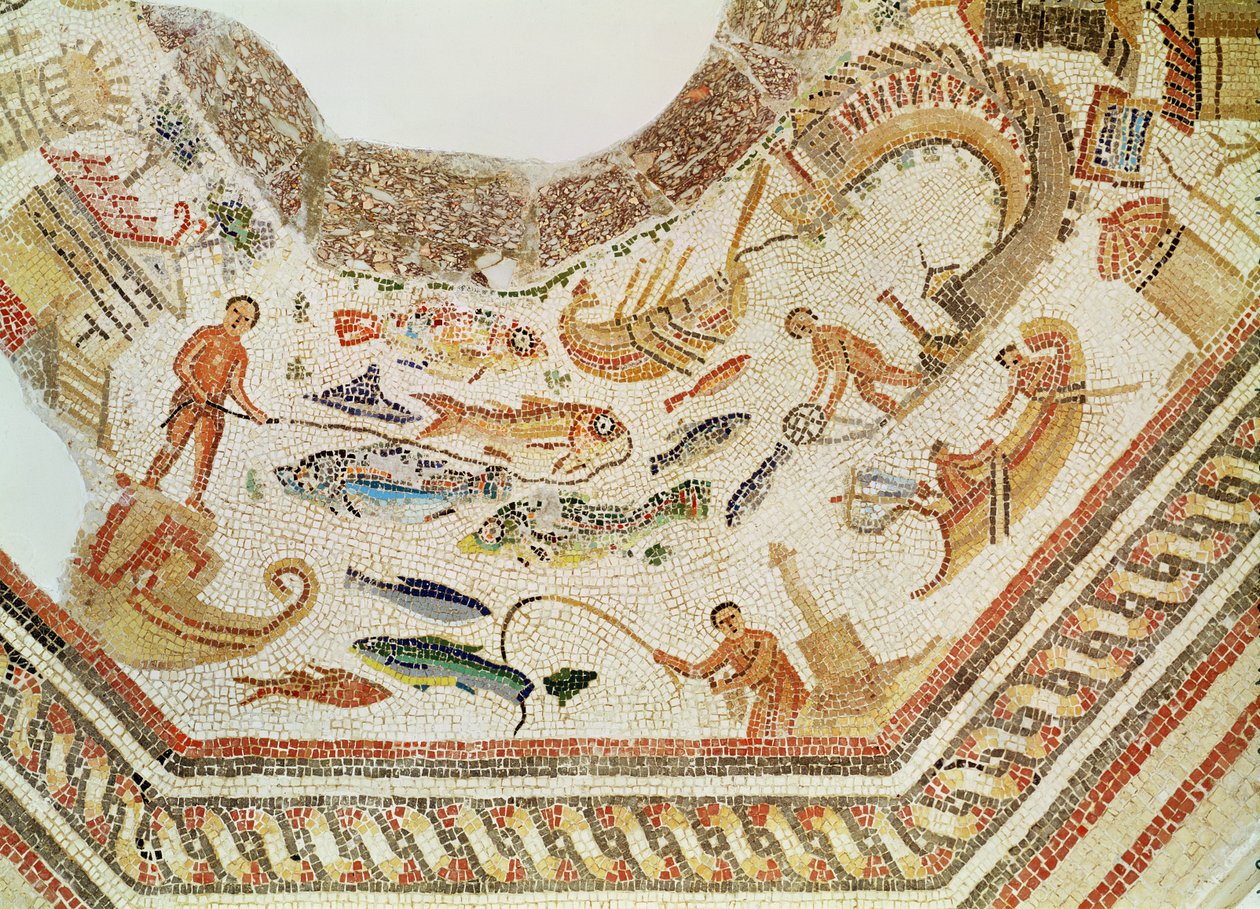 ベガバハモザイクの魚の詳細、316397も参照 作： 小説
