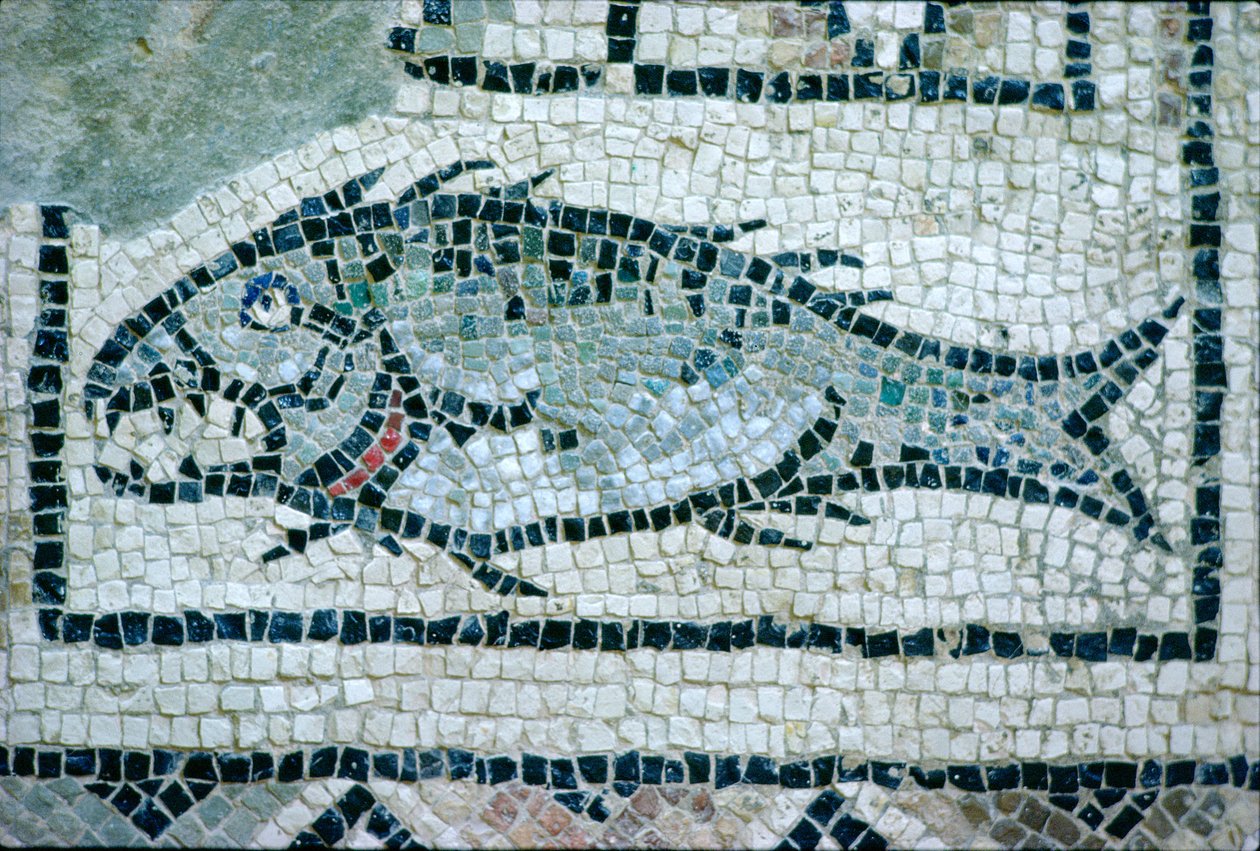 ローマの床の魚（モザイク） 作： 小説